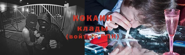 шишки Дмитровск