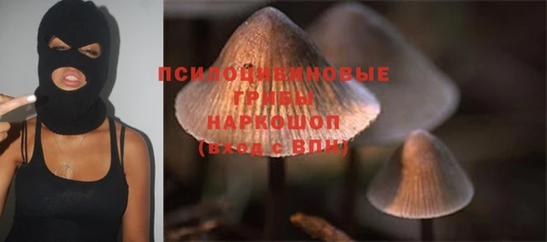 ПСИЛОЦИБИНОВЫЕ ГРИБЫ Богданович