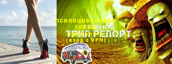 трава Богородицк
